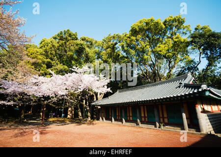 Asien, Republik Korea, Südkorea, Jeju island, Jeju Stadt Samseonghyeol Schrein - drei Clans Löcher die Gründerväter der Stockfoto