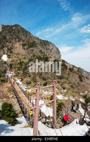 Asien, Republik Korea, Südkorea, Jeju Insel, Wanderer auf vulkanische Mt Halla-San, höchster Berg in Südkorea (1950m) Unes Stockfoto