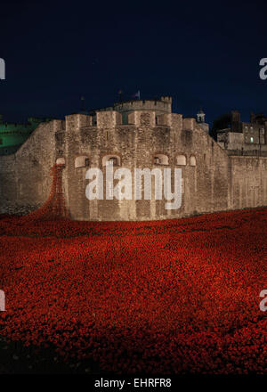 Der Mohn Ausstellung für Gedenktag an den Tower of London Stockfoto