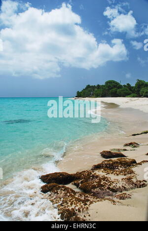Sonnigen Tag Strand mit Felsen und türkisfarbenen karibischen Meer auf der Insel von St. Croix, US Virgin Islands. Stockfoto