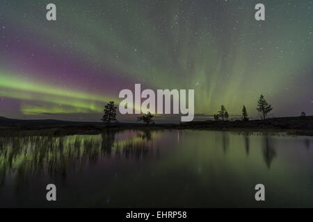 Nordlicht, reflektiert in einem See, Schweden Stockfoto