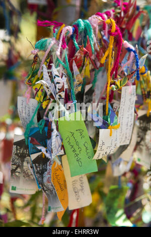 Argentinien, Buenos Aires, Retiro, japanischer Garten, Jardin Japones Nachrichten auf Wunsch Baum Stockfoto