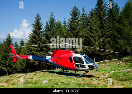 Hubschrauber landet auf einer Wiese Stockfoto