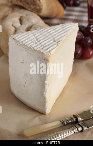 Vignotte machte einen französischen hohen Fett Brie Stil Frischkäse in der Region Champagne-Ardenne der Normandie Stockfoto