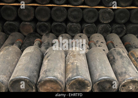 Dies ist eine Weinlagerung. Alte Weinflaschen mit Staub bedeckt werden in Reihen gesetzt. Stockfoto