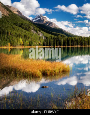 Wolken und Reflexion im Wasservögel Seen. Banff Nationalpark. Alberta. Kanada. Stockfoto