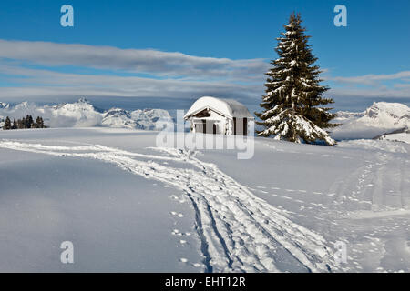 Kleine Hütte und Tanne auf der Bergspitze in Französische Alpen Stockfoto