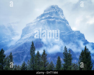 Mt. Chephren bei Nebel und Regen/Schnee. Banff Nationalpark, Alberta, Kanada Stockfoto