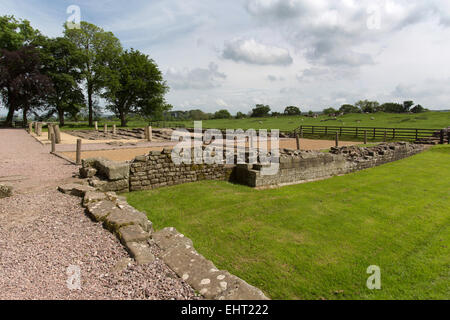 Malerische Aussicht auf römisches Kastell Birdoswald Gebäude Stiftungen und Ruinen entlang der Hadrianswall bei Gilsland. Stockfoto