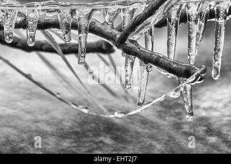 Icycles in einem Bach, Lappland, Schweden Stockfoto
