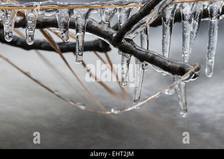 Icycles in einem Bach, Lappland, Schweden Stockfoto