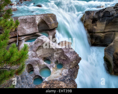 Schlaglöcher Fluss geschnitzt. Lower Sunwapta Falls. Jasper Nationalpark, Alberta, Kanada Stockfoto