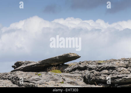 Küstenlandschaft in Irland Stockfoto