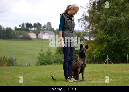 Hundetrainer mit Holländischer Schäferhund Stockfoto