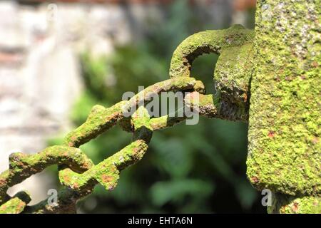 alte Kette auf einem Zaun Stockfoto