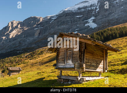 Zwei alte Holzhütten in Schweiz Alpen mit Eiger und Schnee auf einer Wiese mit Abendlicht. Stockfoto