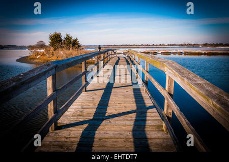 Boardwalk durch Sümpfe an Assateague Island National Seashore, Maryland. Stockfoto