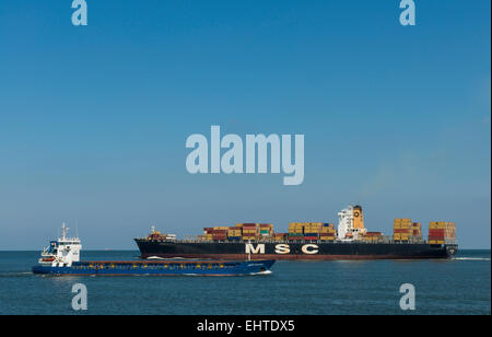 Containerschiff MSC und kleineres Schiff für den Hafen von Rotterdam in der Nähe der Maasvlakte. Stockfoto