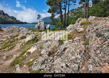 Ein Bergsee in der Nähe von Dorf Zonza in zentralen Korsika wird eine dramatische Szene mit eingehenden Wetter. Stockfoto