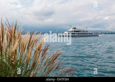 Schiff auf dem Thunersee mit vielen Wolken und ein Werk mit Federn in Thun. Stockfoto