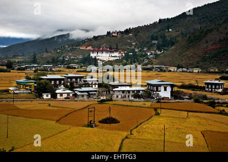 BU00370-00... BHUTAN - Felder von rotem Reis wächst im Paro Tal unterhalb der Paro Dzong und das Nationalmuseum in Paro. Stockfoto