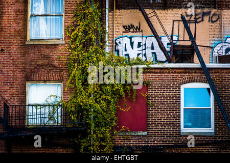 Close-up Anzeigen der alten Gebäude in der Innenstadt von Baltimore, Maryland. Stockfoto