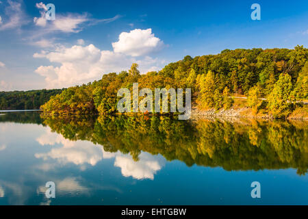 Wolken und Bäume im Prettyboy Reservoir, Baltimore County, Maryland. Stockfoto