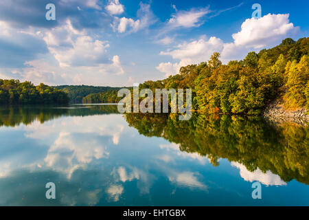 Wolken und Bäume im Prettyboy Reservoir, Baltimore County, Maryland. Stockfoto