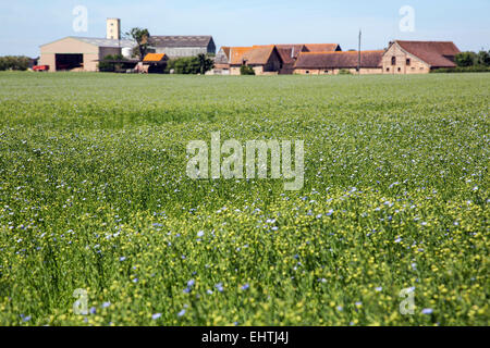 ABBILDUNG DER EURE (27), NORMANDIE, FRANKREICH Stockfoto