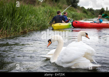 KANU-KAJAK IN DER EURE (27), FRANKREICH Stockfoto