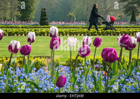 CHATEAU DE MAINTENON, (28) EURE-ET-LOIR, CENTRE, FRANKREICH Stockfoto