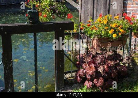 EURE-ET-LOIR (28), FRANKREICH Stockfoto