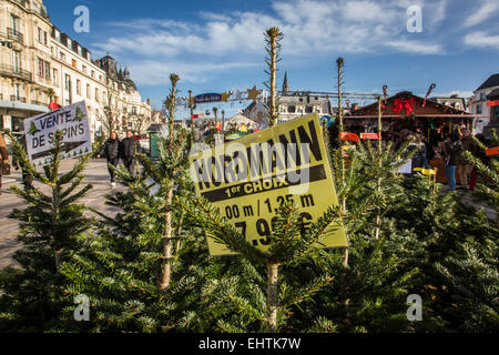 ABBILDUNG DER STADT ORLEANS, (45) LOIRET CENTRE, FRANKREICH Stockfoto