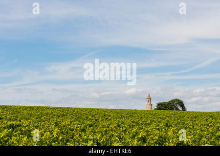 Weingut mit Turm und Baum am Chateau Roque de durch im Medoc, Frankreich Gironde. Stockfoto