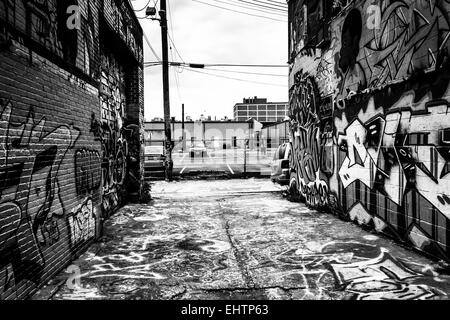 Unglaubliche Kunstwerke in Graffiti Gasse, Baltimore, Maryland. Stockfoto