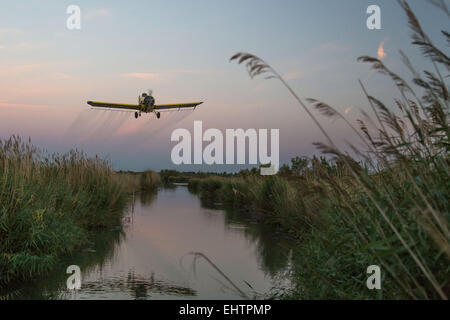 MOSKITO-KONTROLLE IN DER CAMARGUE, (30) GARD, LANGUEDOC-ROUSSILLON, FRANKREICH Stockfoto