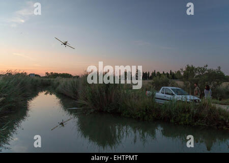 MOSKITO-KONTROLLE IN DER CAMARGUE, (30) GARD, LANGUEDOC-ROUSSILLON, FRANKREICH Stockfoto