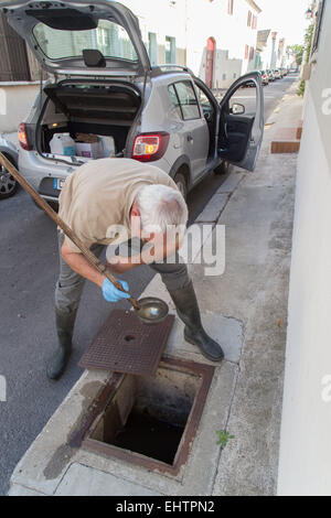 MOSKITO-KONTROLLE IN DER CAMARGUE, (30) GARD, LANGUEDOC-ROUSSILLON, FRANKREICH Stockfoto