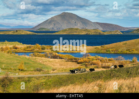 EINE REISE IN ISLAND, EUROPA Stockfoto