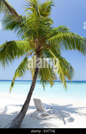 Liegestühle am Strand Stockfoto