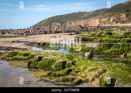 ABBILDUNG BASSE-NORMANDIE, MANCHE (50), FRANKREICH Stockfoto