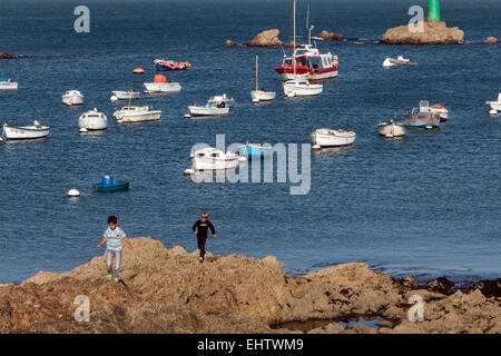 ABBILDUNG BASSE-NORMANDIE, MANCHE (50), FRANKREICH Stockfoto