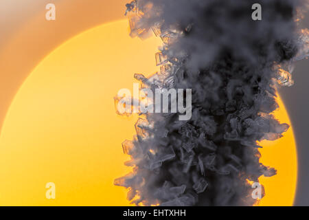 Schneekristalle im Sonnenuntergang, Lappland, Schweden Stockfoto