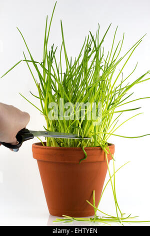 Gesunde frische snack Stockfoto