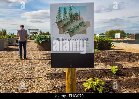 DEMONSTRATION VON URBAN FARMING, SAINT-CYR L ' ECOLE (78) YVELINES, ILE DE FRANCE, FRANKREICH Stockfoto