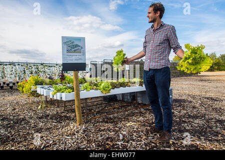 DEMONSTRATION VON URBAN FARMING, SAINT-CYR L ' ECOLE (78) YVELINES, ILE DE FRANCE, FRANKREICH Stockfoto