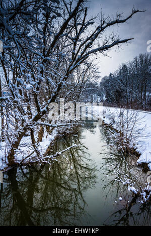 Schneebedeckte Bäume reflektiert in einem Bach in ländlichen Carroll County, Maryland. Stockfoto