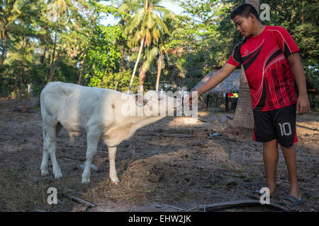 KINDER DER WELT - THAILAND - ERDE, SOHN EINES FISCHERS Stockfoto