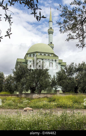 DER OLIVEN-RIVIERA, ÄGÄIS, TÜRKEI Stockfoto