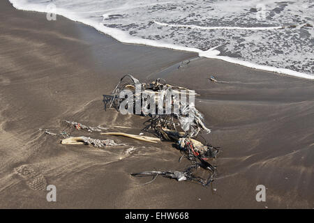 Kunststoff-Abfälle Stockfoto